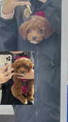 kteaworld Altpins Profile Picture