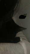 vampiryska Altpins Profile Picture