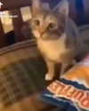 catl0verr69 Altpins Profile Picture