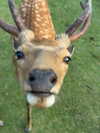 babebellalynnx Altpins Profile Picture