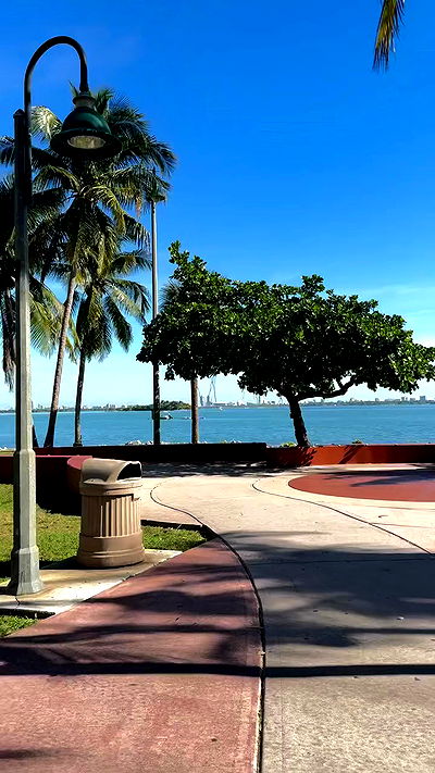 biton__adi biton__adi archive video