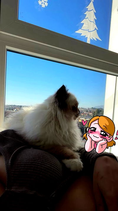 kasumi_sen kasumi_sen archive video