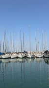 milena_kofef Altpins Profile Picture