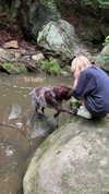 lila.clarkson Altpins Profile Picture