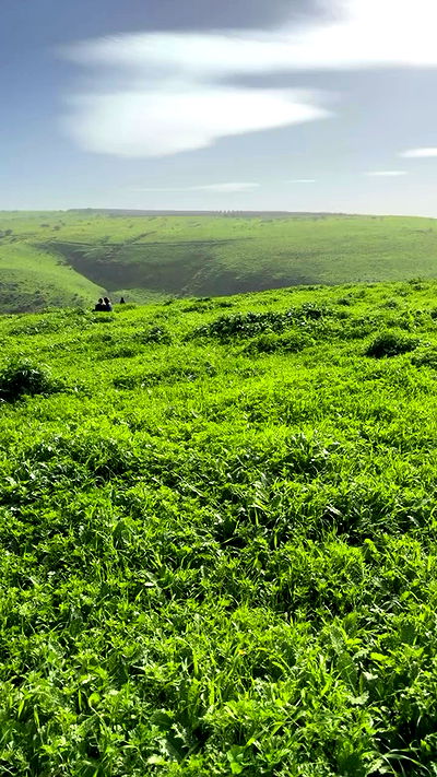 strawberryshanz strawberryshanz archive video