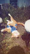 _ociaa_05 Altpins Profile Picture
