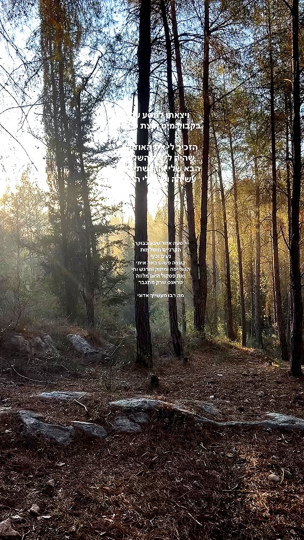 yuval_raz archive video preview