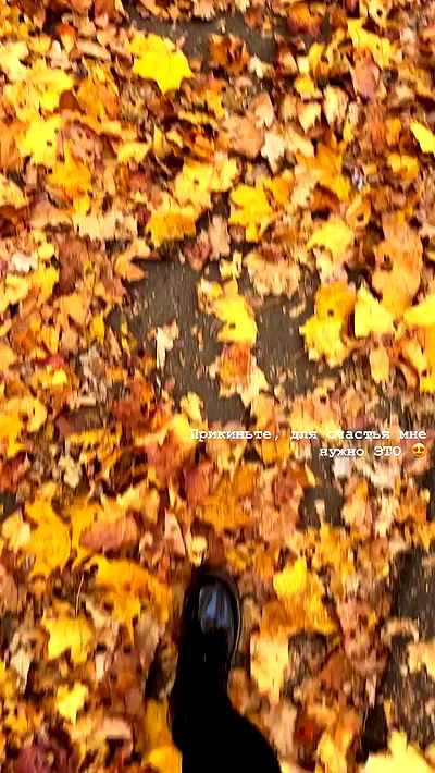 nyityam nyityam archive video