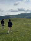 orman.mariee Altpins Profile Picture