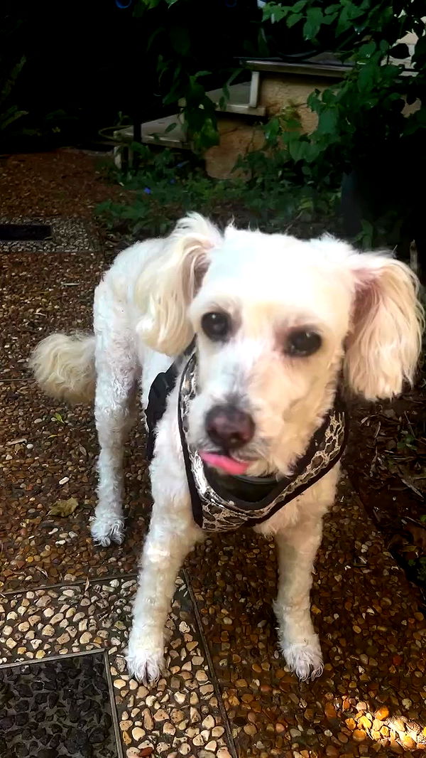 feelbetterinmysweater archive video preview