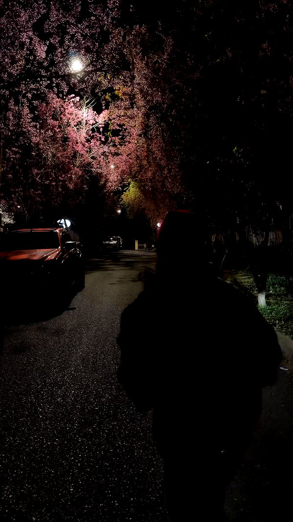 ttnguien_ archive video preview