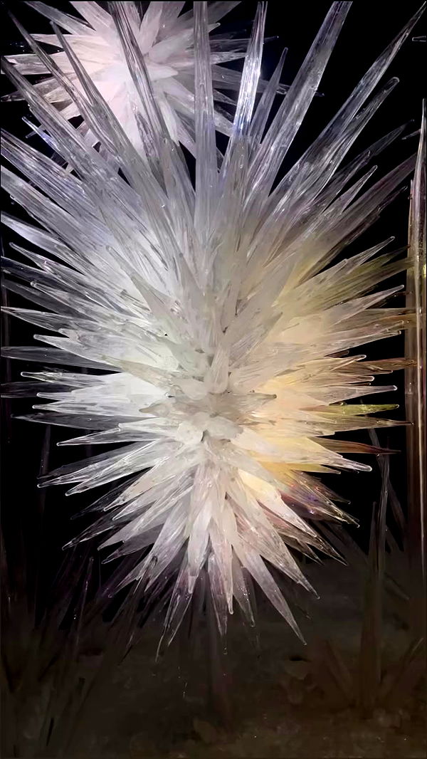 tatum.ricee archive video preview