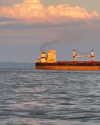 ll.lu1s Altpins Profile Picture