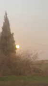 jariya_k_luban Altpins Profile Picture