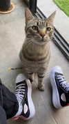 shanidahan7 Altpins Profile Picture