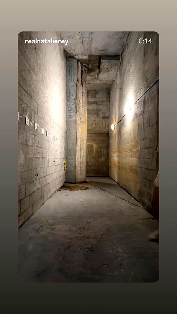 nataliereynolds archive video preview