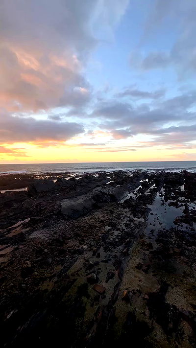 taylor.creeden taylor.creeden archive video