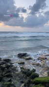 mishel_d_ Altpins Profile Picture