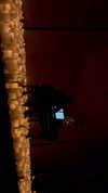 annabottoo Altpins Profile Picture