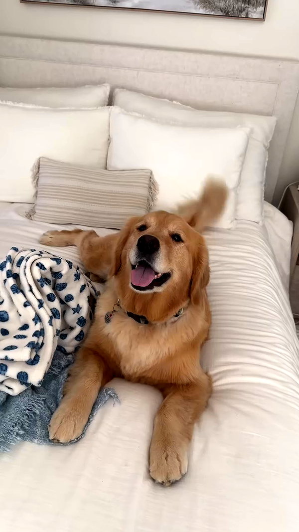 allie_dunn archive video preview