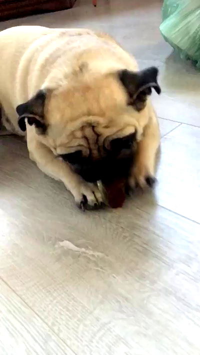 nyityam nyityam archive video