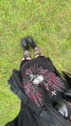 borkwsmh Altpins Profile Picture