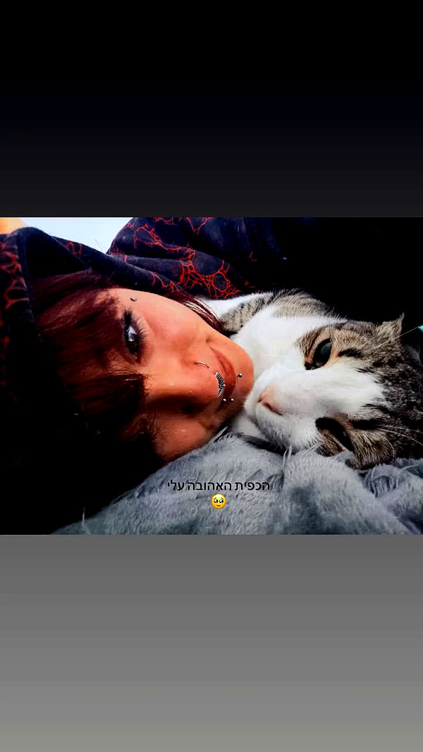 shaharo__._ archive video preview