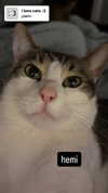 malmalirl Altpins Profile Picture