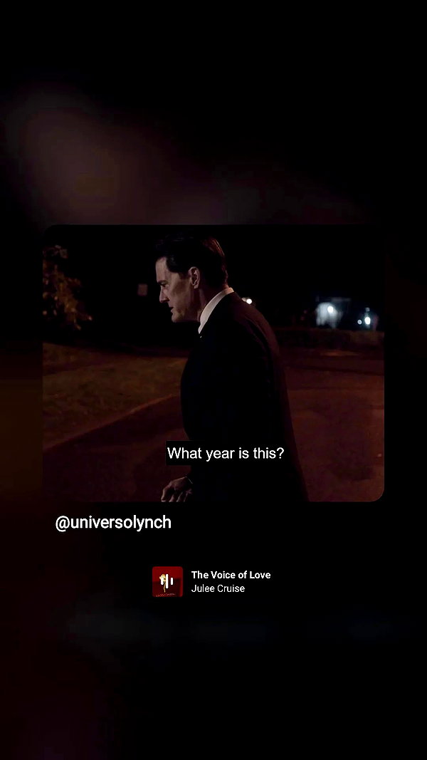 shayli_or archive video preview