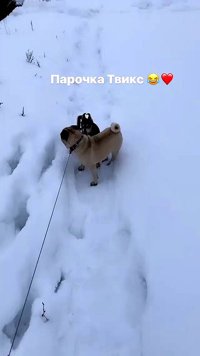 nyityam nyityam archive video