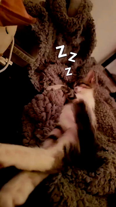 moonyyyya moonyyyya archive video