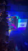 olivia.bolgerr Altpins Profile Picture