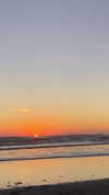 solzarubin_ Altpins Profile Picture