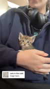 jahia_brown Altpins Profile Picture