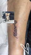 simp_for_cats_ Altpins Profile Picture