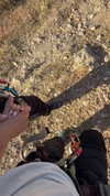 mishel_d_ Altpins Profile Picture