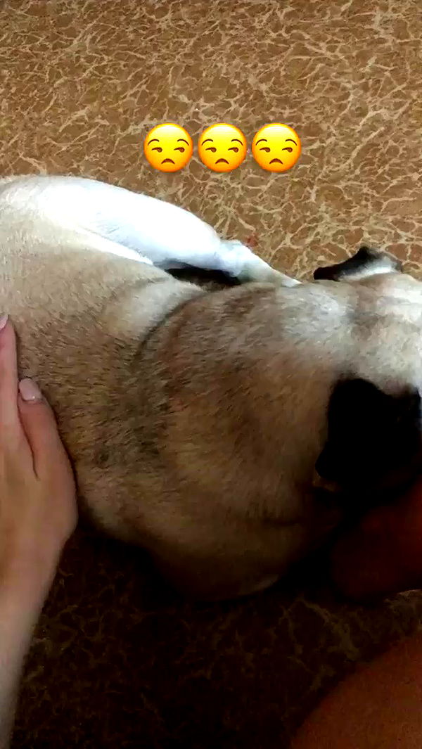 nyityam archive video preview