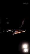 suspiria.em Altpins Profile Picture