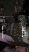 roni_ackerman Altpins Profile Picture