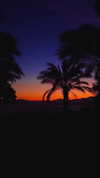 nicol.rochlin Altpins Profile Picture