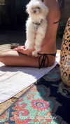 elizabethcampbelljones Altpins Profile Picture