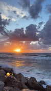 nicole_ac Altpins Profile Picture