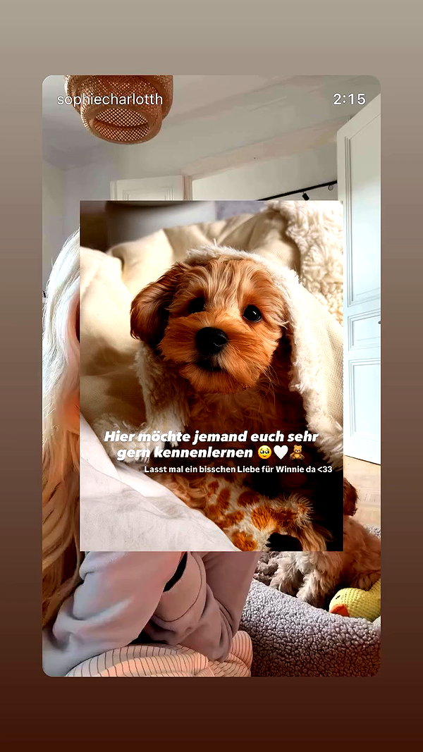 sophiecharlotth archive video preview
