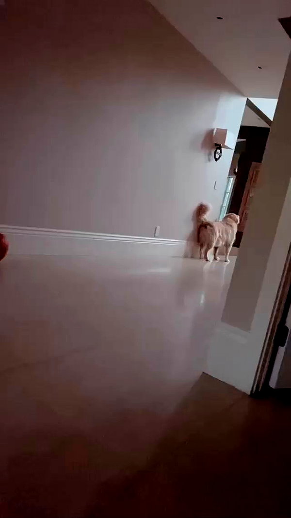 allie_dunn archive video preview