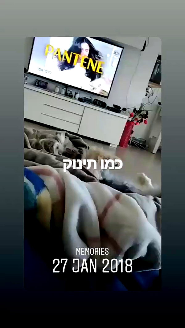 eitan.420 archive video preview