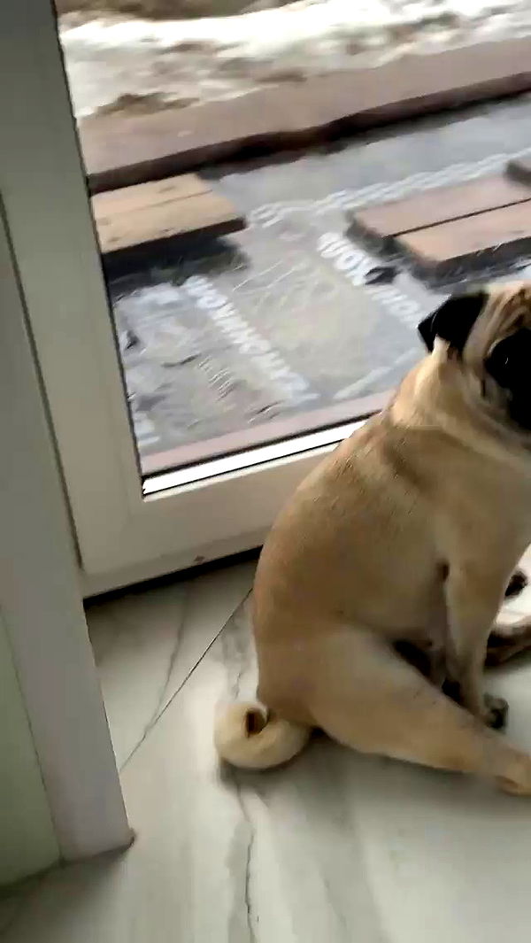 nyityam archive video preview