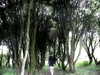 danafetishistova Altpins Profile Picture