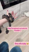 alyri_tv Altpins Profile Picture