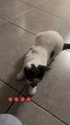 lera.genadenik Altpins Profile Picture