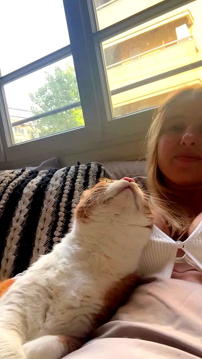 iambohema.v2 iambohema.v2 archive video